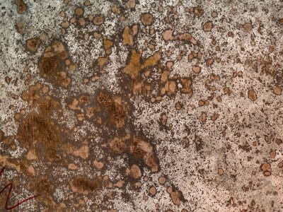 Professional water damage restoration services in Plantation